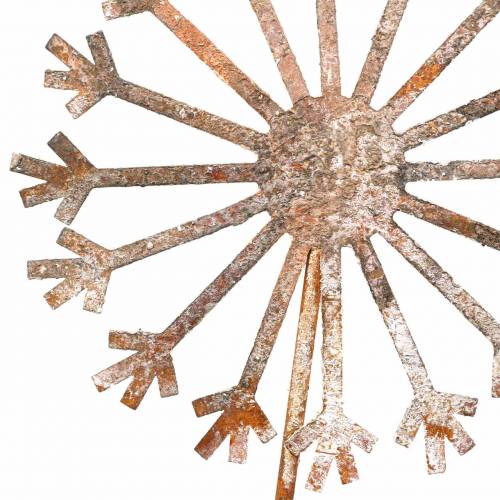 Floristik24 Garden plug dandelion patina metal Ø18 H88cm