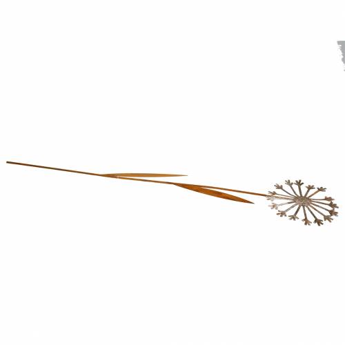 Floristik24 Garden plug dandelion patina metal Ø18 H88cm