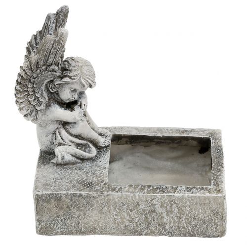 Floristik24 Planter with angel gray 17cm