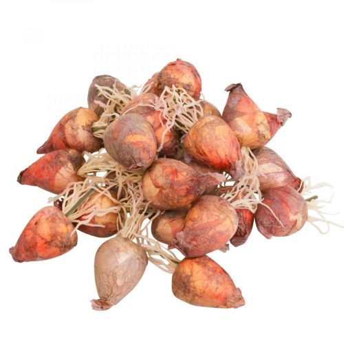 Floristik24 Vegetable decoration mini beets artificial Ø2.5cm H3.5cm 24 pcs