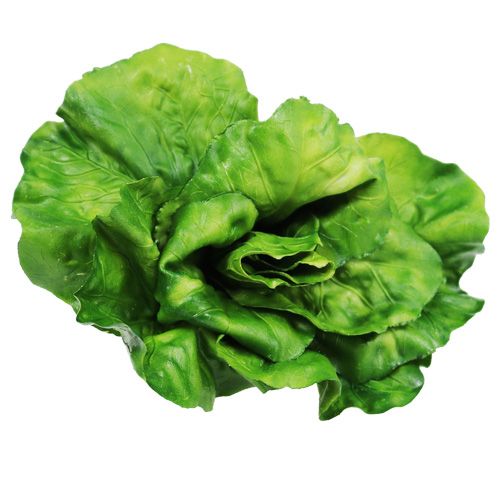 Floristik24 Vegetable assortment on the net