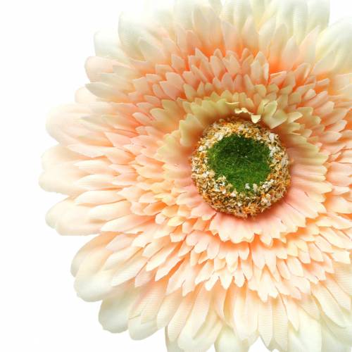Floristik24 Gerbera artificial Peach 62cm 6pcs