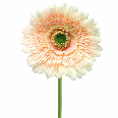 Floristik24 Gerbera artificial Peach 62cm 6pcs