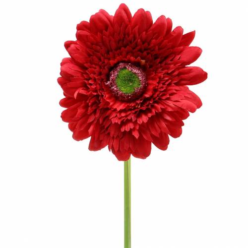 Floristik24 Gerbera artificial Red 62cm 6pcs