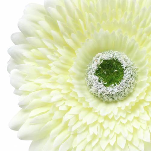 Product Gerbera artificial white 62cm 6 pcs