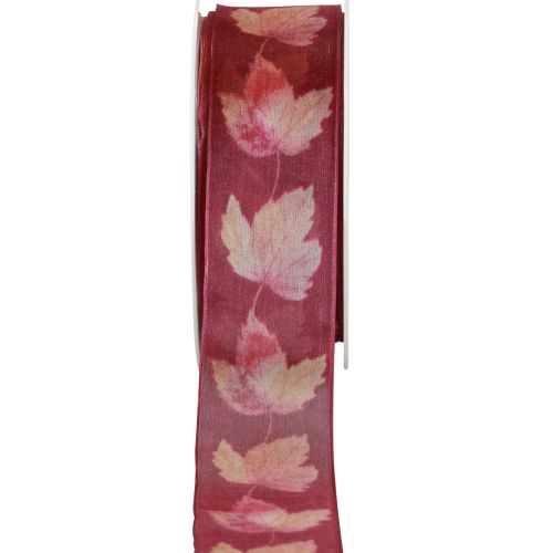 Floristik24 Gift ribbon maple leaves purple ribbon autumn 40mm 15m