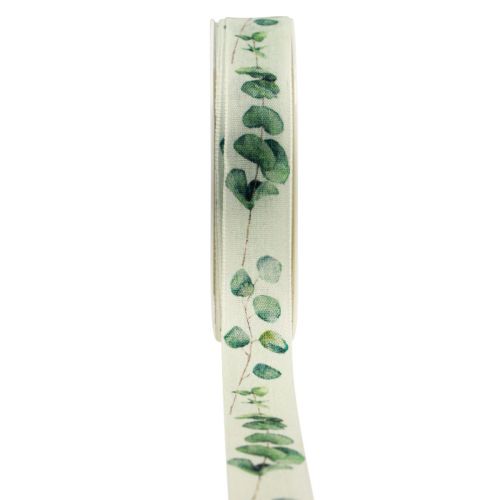 Floristik24 Gift ribbon eucalyptus decorative ribbon green 25mm 20m
