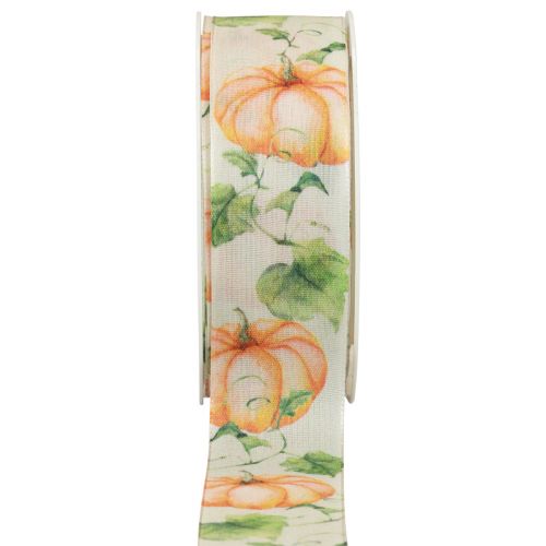 Floristik24 Gift ribbon pumpkin ribbon autumn orange 40mm 15m