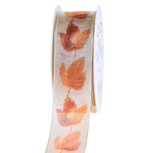 Floristik24 Gift ribbon selvedge ribbon autumn maple leaves 40mm 15m