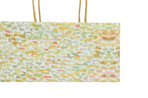 Product Gift bag with handles gift bag patterned 24×12×12cm 6pcs
