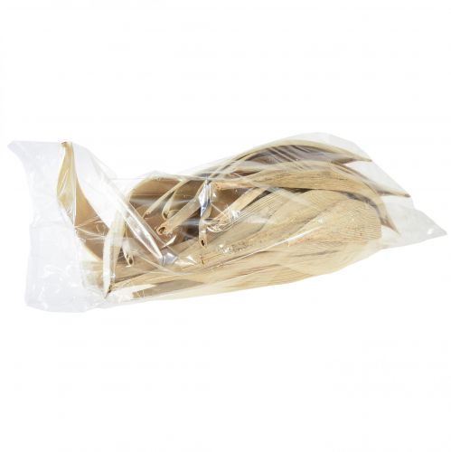 Product Coconut shells coconut leaves bleached 22-42cm 25 pcs