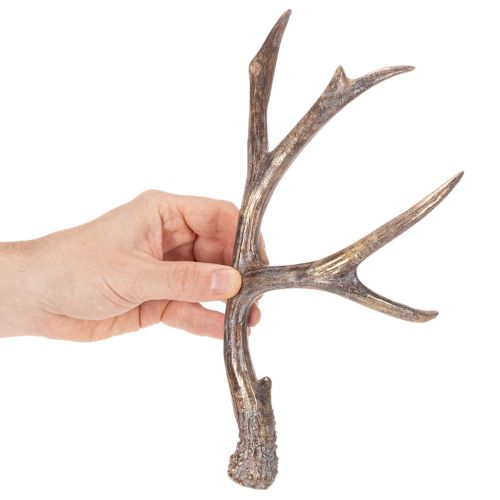 Decorative Artificial Antlers Set – 29cm, Polyresin, Brown with Gold Accents | Floristik24.co.uk