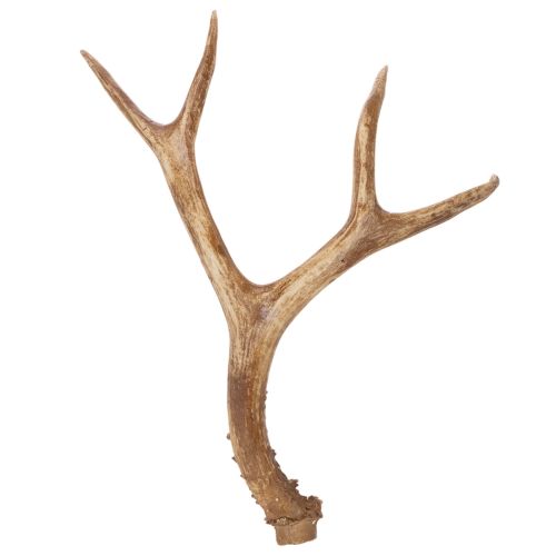 Künstliches Antler Ornament, Polyresin, 32cm, Natural Tones, Indoor Use
