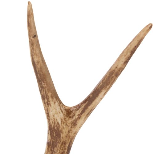 Künstliches Antler Ornament,