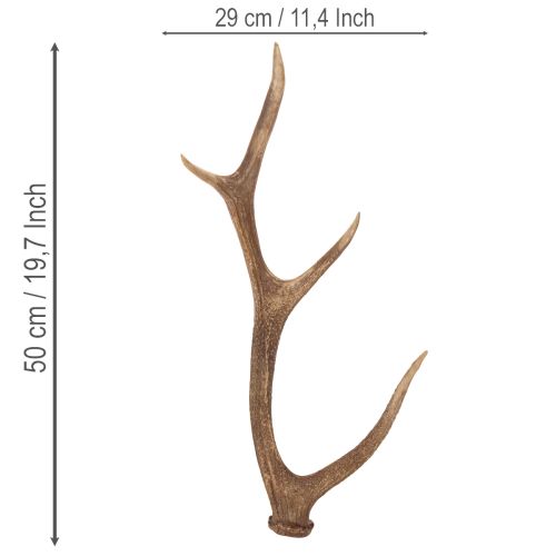 Kunst Antler Decor Rustic