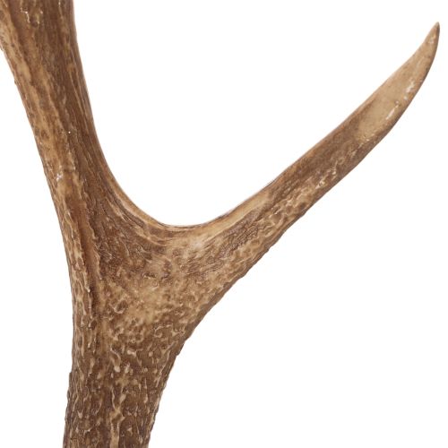 Kunst Antler Decor Rustic
