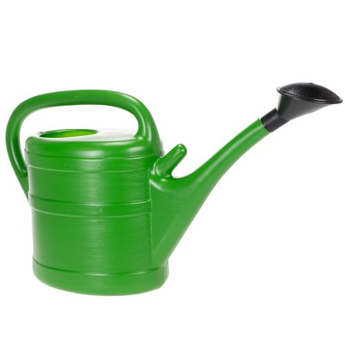 Floristik24 Watering can 10l May green