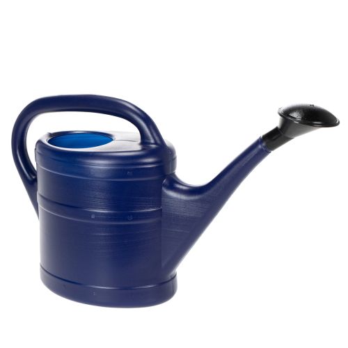 Watering can 5l blue buy online | Floristik24.co.uk