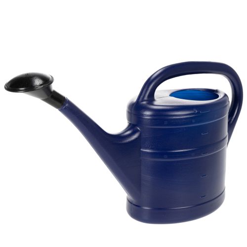 Watering can 5l blue | Floristik24.co.uk