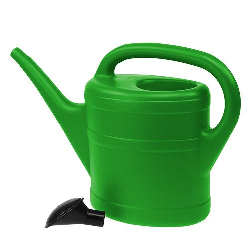 Floristik24 Watering can 5l may green