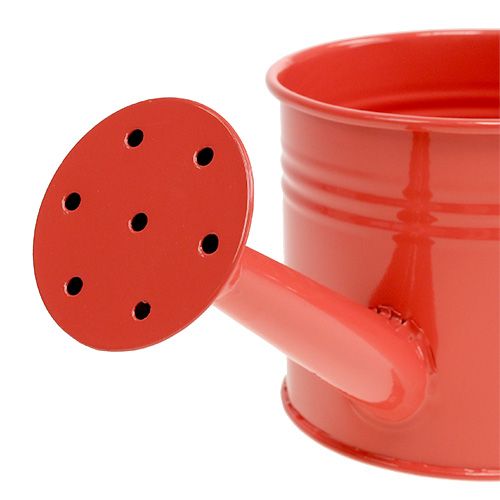Floristik24 Watering can Orange Mix Ø11cm H9cm 8pcs