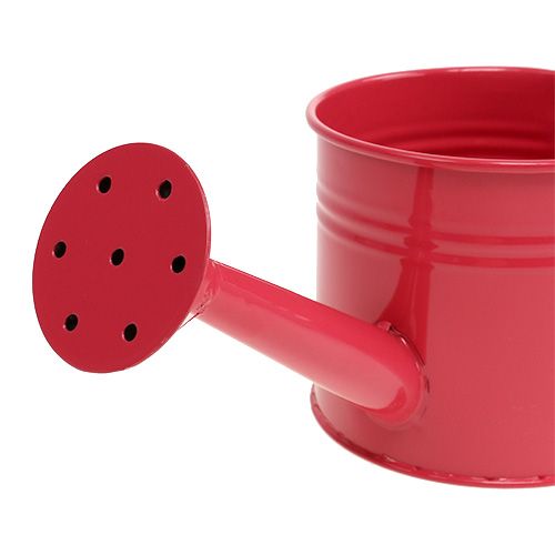 Floristik24 Watering can Rosa Mix Ø11cm H10cm 8pcs