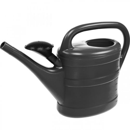 Floristik24 High-quality 10L anthracite watering can: robust, reliable and stylish