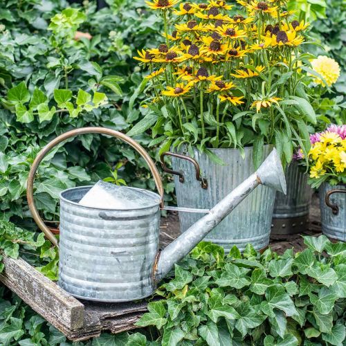 Product Watering can metal antique look 52 × 20 × 33cm
