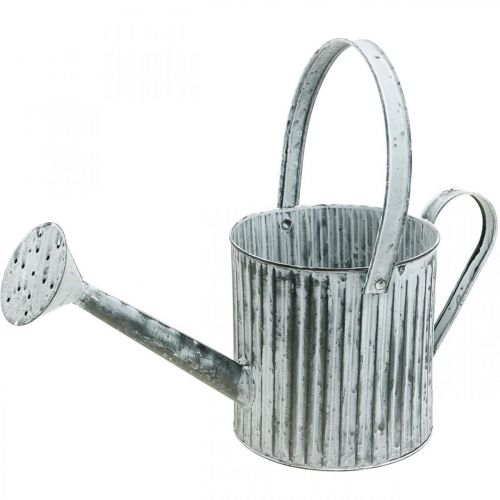 Floristik24 Metal can for planting, watering can for decoration, planting can Ø17cm