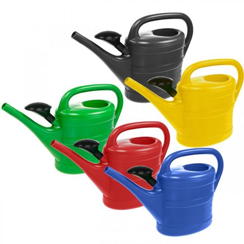 Floristik24 Watering can 10L