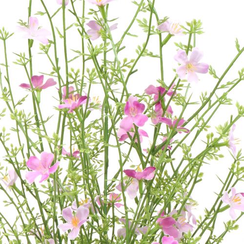 Floristik24 Gorse bush lilac 60cm