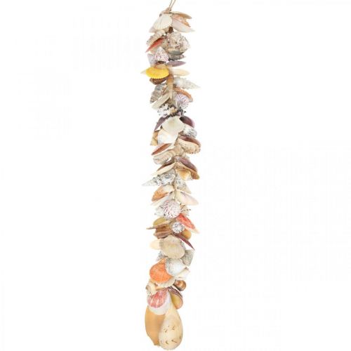 Floristik24 Decorative hanger with shells, maritime garland, shells and snail shells 85cm