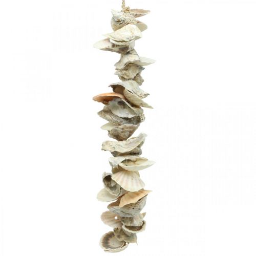 Floristik24 Shell garland, maritime summer decoration, natural shell chain natural colors L35cm