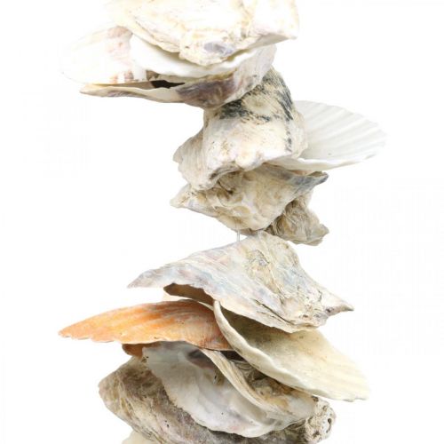 Floristik24 Shell garland, maritime summer decoration, natural shell chain natural colors L35cm