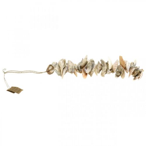 Floristik24 Shell garland, maritime summer decoration, natural shell chain natural colors L35cm