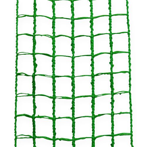 Product Mesh tape 4.5cmx10m light green