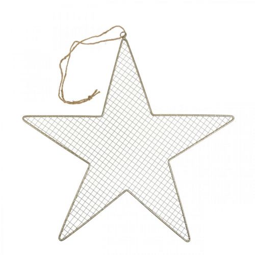 Floristik24 Metal star mesh decoration star metal decoration gold Ø47cm