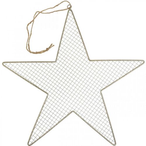 Floristik24 Metal Star Mesh Deco Star Metal Deco Gold Ø57cm