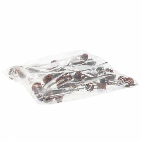 Product Glabrum II (1) 25 pcs