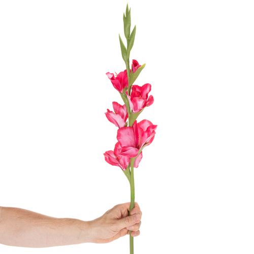 Artificial Gladiolus with Decorative Pink Blossoms, 88cm, for Indoor Use | Floristik24.co.uk