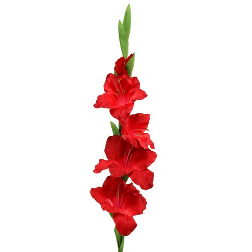 Floristik24 Gladiolus red artificial 86cm