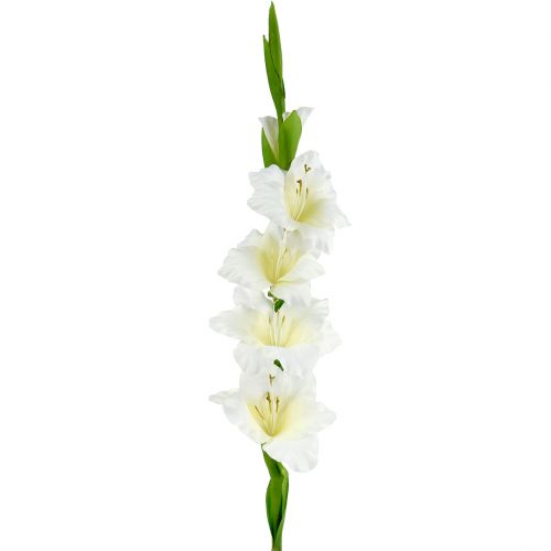 Gladiolus white 86cm artificial