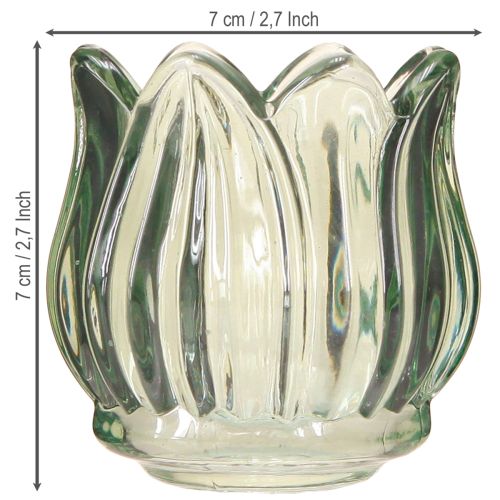 Product Glass candle holder tealight holder tulip green Ø7cm H7cm 2pcs