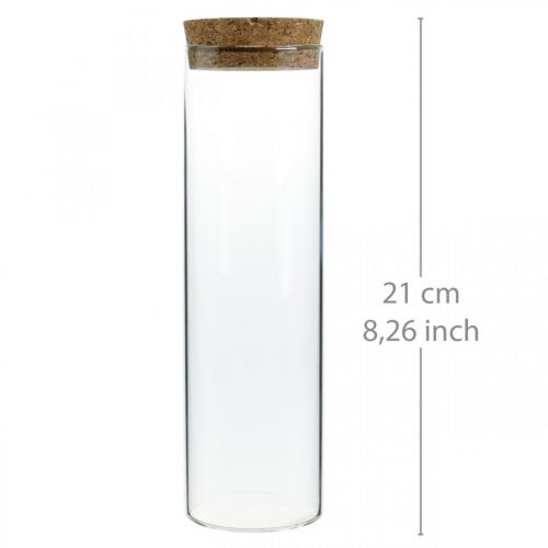 Floristik24 Glass with cork lid Glass cylinder with cork Clear Ø6cm H21cm