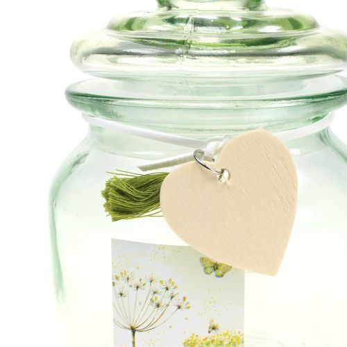 Floristik24 Glass jar Bonboniere Green Ø11cm H15,5cm
