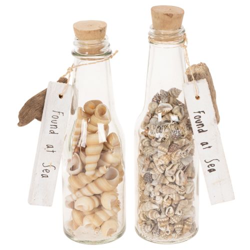 Set of 2 Decorative Glass Bottles with Shells and Tags – 17cm Height | Floristik24.co.uk