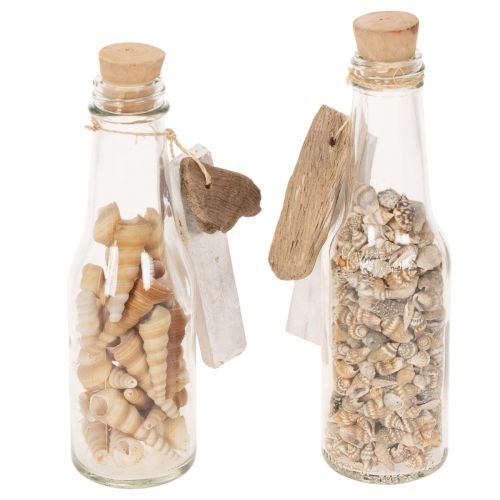 Set of 2 Glass Bottles with Seashells and Tags – 17cm Decorative Maritime Ornament | Floristik24.co.uk