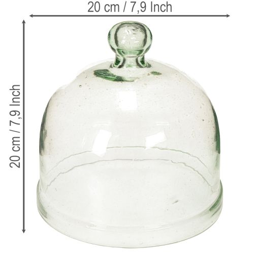 Glass Cloche with Knob 20cm Transparent Recycled Glass for Decoration | Floristik24.co.uk