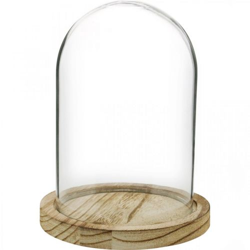 Product Decorative bell, glass dome with wooden plate, table decoration H16cm Ø12.5cm