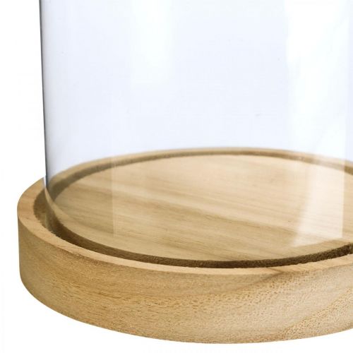 Floristik24 Glass bell with plate, glass dome, glass hood decoration H21cm